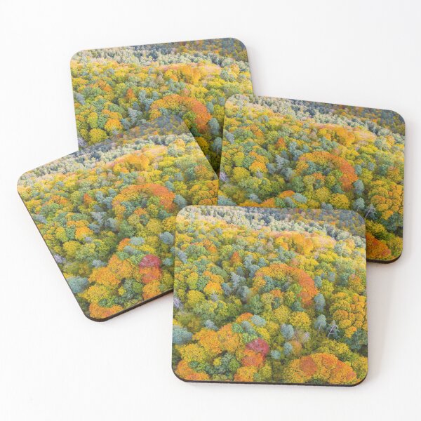 Item preview, Aerial vertical panoramic view of vibrant color autumn forest designed and sold by Lukasz Szczepanski.