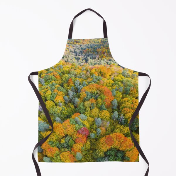 Item preview, Aerial vertical panoramic view of vibrant color autumn forest designed and sold by Lukasz Szczepanski.