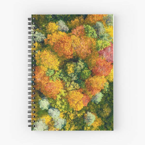 Item preview, Aerial top down view of vibrant colorful autumn forest designed and sold by Lukasz Szczepanski.
