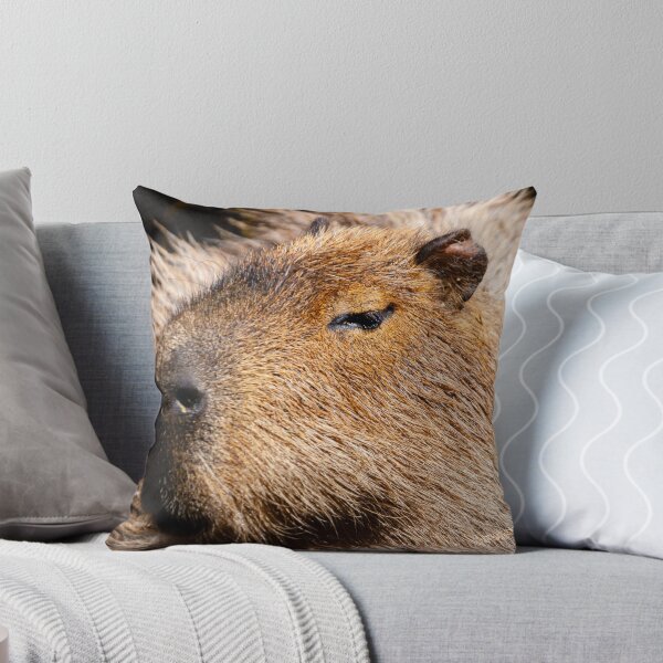 Item preview, Capybara profile designed and sold by OwlOccasions.