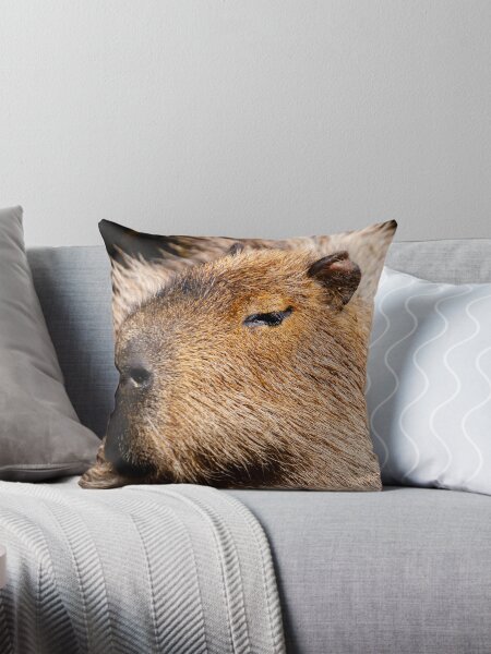 Item preview, Capybara profile designed and sold by OwlOccasions.