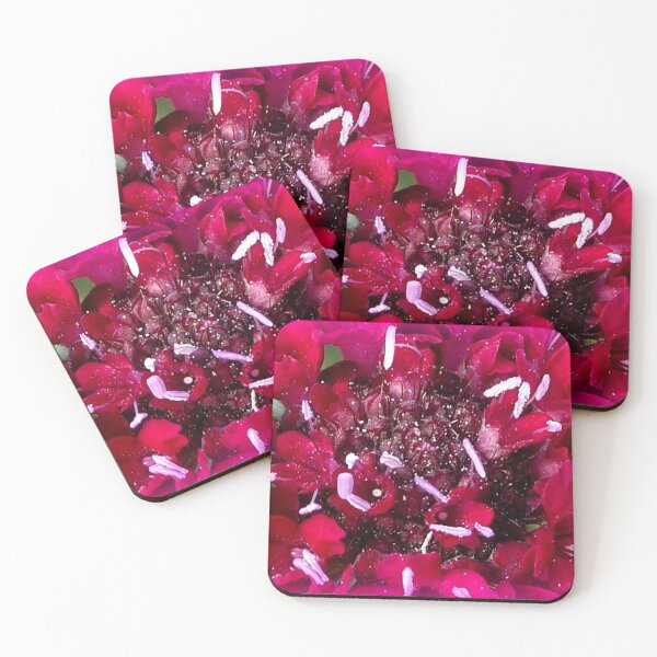 Item preview, Burgundy Scabiosa designed and sold by angel1.