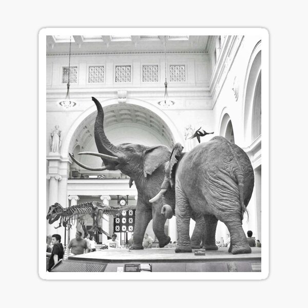 Chicago's Famous Elephants (Stanley Field Hall) Sticker