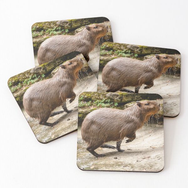 Item preview, Capybara on the run! designed and sold by Dalyndigital Photography.