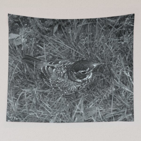 Item preview, A Friendly Fellow Stop By Black and White version designed and sold by RCPphotography.