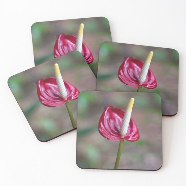 Item preview, Miniature Red Anthurium designed and sold by Kerryn Madsen-Pietsch.