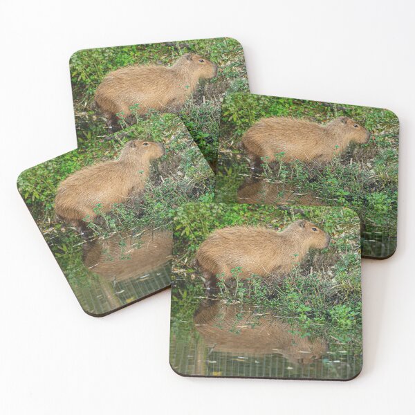 Item preview, Capybara reflection designed and sold by Dalyndigital Photography.