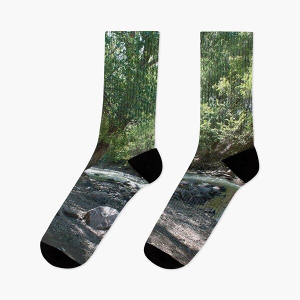 Item preview, Forest nature landscape scene with trees water rocks and boulders designed and sold by Ventures1.