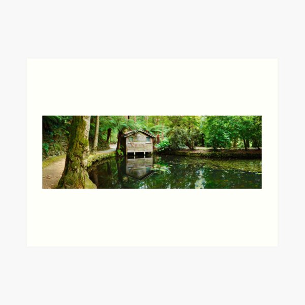 Art Print