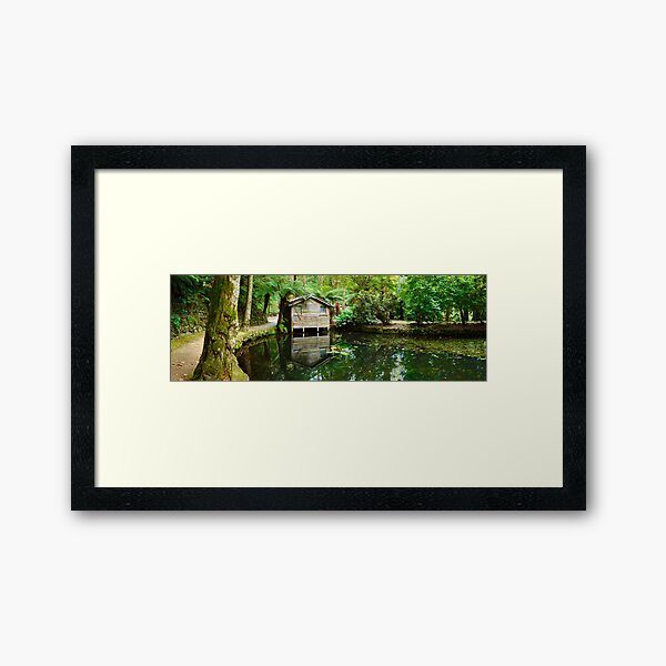 Framed Art Print