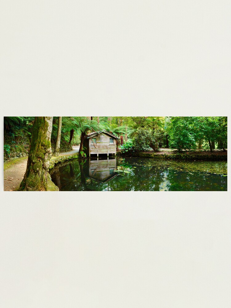 Thumbnail 1 of 3, Photographic Print, Boathouse, Alfred Nicholas Gardens, Melbourne, Victoria, Australia designed and sold by Chockstone.