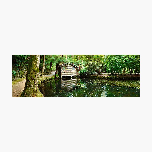 Photographic Print