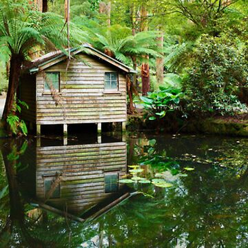 Artwork thumbnail, Boathouse, Alfred Nicholas Gardens, Melbourne, Victoria, Australia by Michael Boniwell