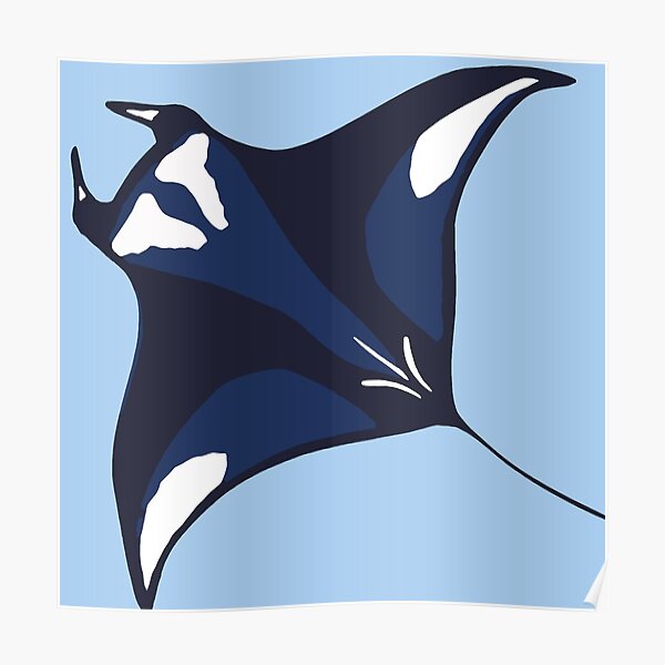 Manta ray Poster