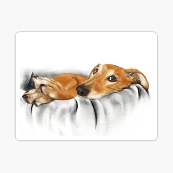 Fawn Galgo in dogbed Sticker