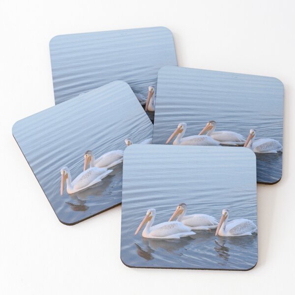 Item preview, Pelician Adolescent Trio designed and sold by TBirdPhotos.