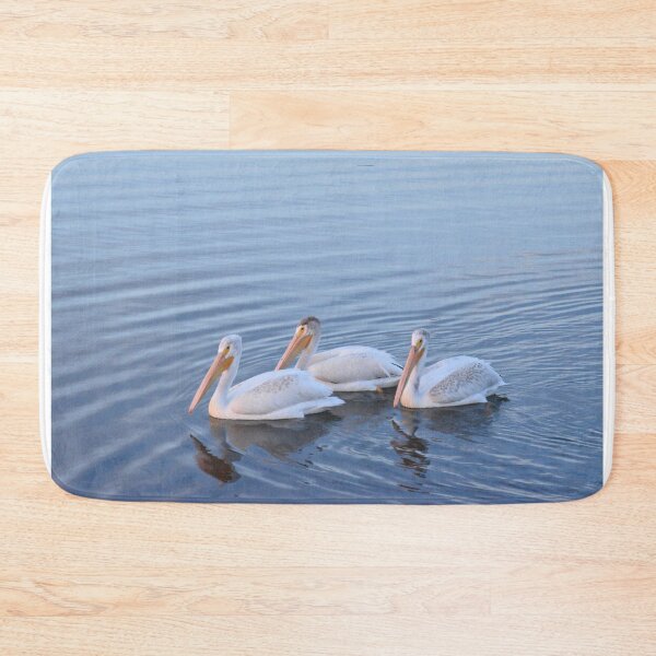 Item preview, Pelician Adolescent Trio designed and sold by TBirdPhotos.