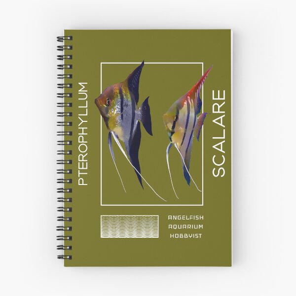 Item preview, Angelfish Pterophyllum scalare designed and sold by GFishy.