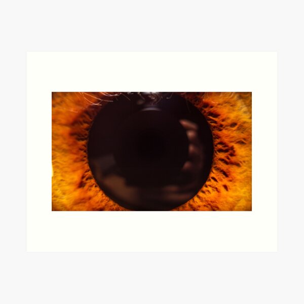 Item preview, Golden Eyes designed and sold by DylanVL.