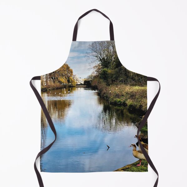 Item preview, England -Bushy Park- Ducks designed and sold by joabaj.
