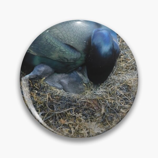 Item preview, Caring Cormorant designed and sold by MChabalaRussell.
