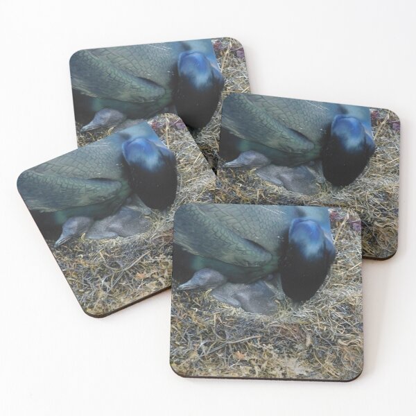 Item preview, Caring Cormorant designed and sold by MChabalaRussell.