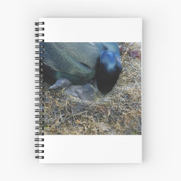 Item preview, Caring Cormorant designed and sold by MChabalaRussell.