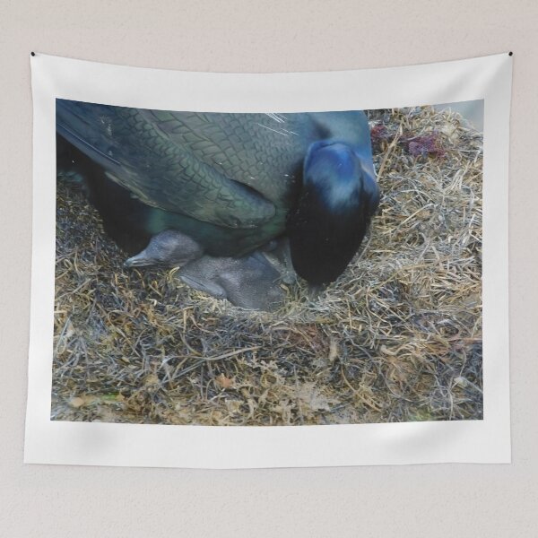 Item preview, Caring Cormorant designed and sold by MChabalaRussell.