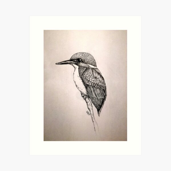 Bird pen drawing. Kingfisher Art Print