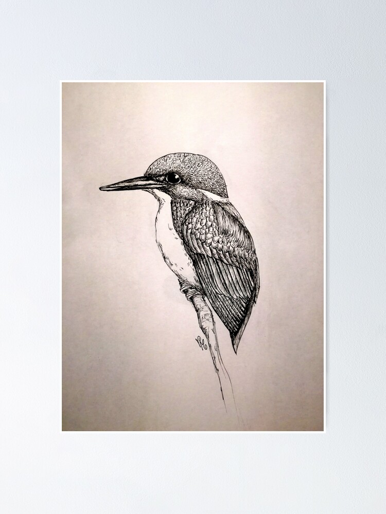 Tit bird pen drawing by LaLobaDrawing on DeviantArt