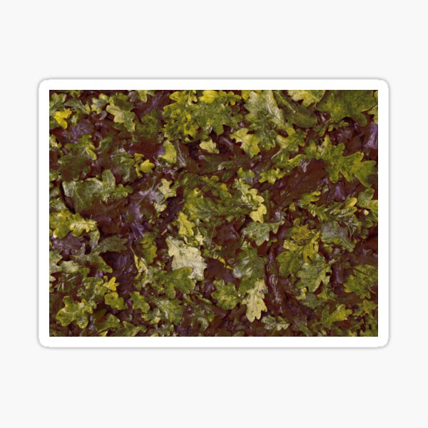 Green Leaves Sticker