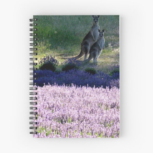 Item preview, Evening in the Lavender  designed and sold by Sharon Goldsworthy.