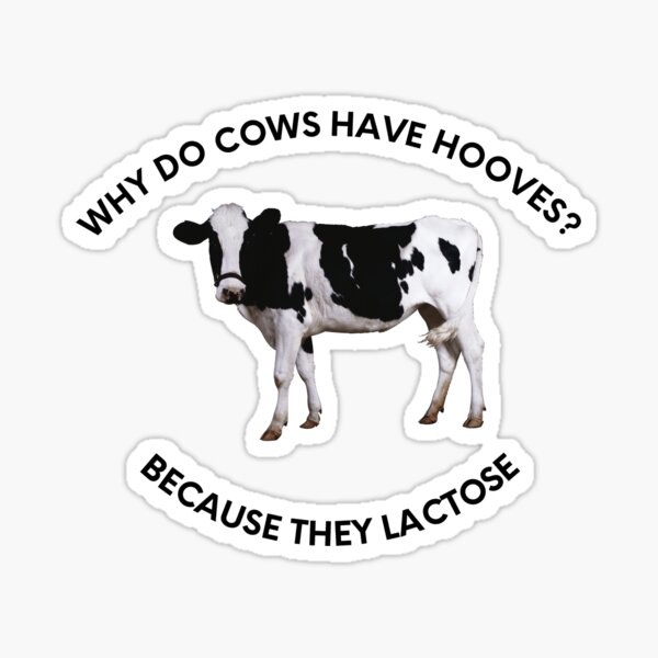"Why Do Cows Have hooves?" Sticker for Sale by SciathDe | Redbubble