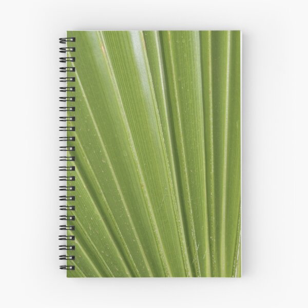Item preview, Fern leaf fan designed and sold by Natalie Castree.