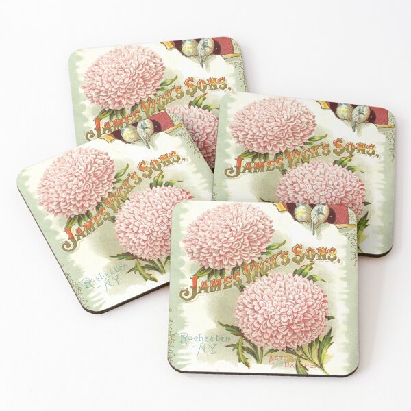 Item preview, Aster daybreak - Vick's 1898 designed and sold by killies.