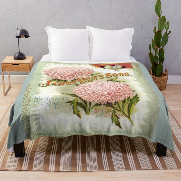 Item preview, Aster daybreak - Vick's 1898 designed and sold by killies.