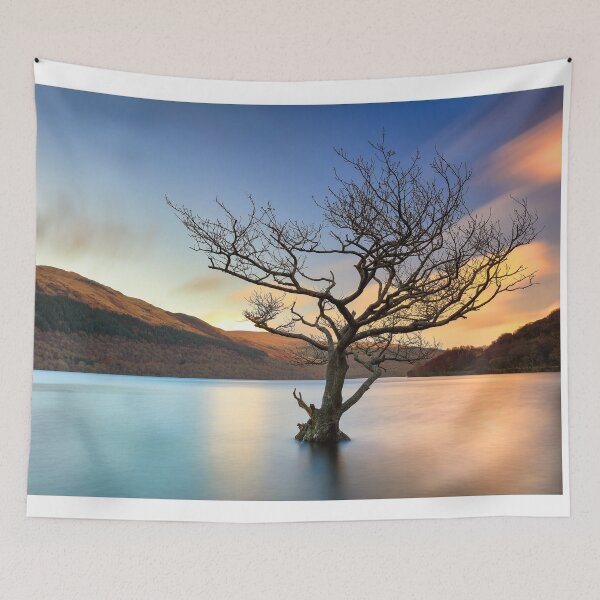Item preview, Tree in Water Loch Lomond-Sunset designed and sold by Grant Glendinning.