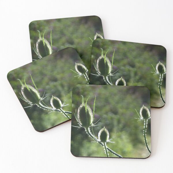 Item preview, Thistle into the natural light designed and sold by Between Clouds.