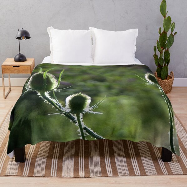 Item preview, Thistle into the natural light designed and sold by Between Clouds.