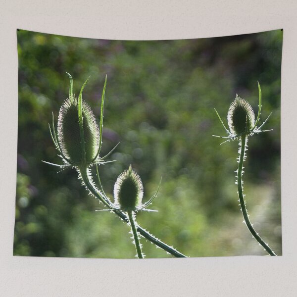Item preview, Thistle into the natural light designed and sold by Between Clouds.