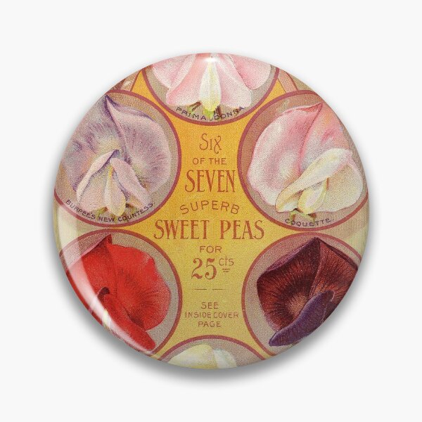 Item preview, Sweet peas - Burpee 1898 designed and sold by killies.