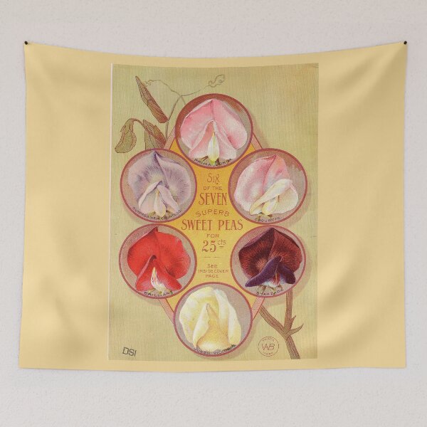 Item preview, Sweet peas - Burpee 1898 designed and sold by killies.