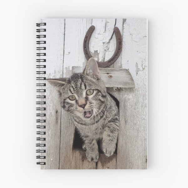 Item preview, surprised tabby kitty Onslow designed and sold by LadyKandis.