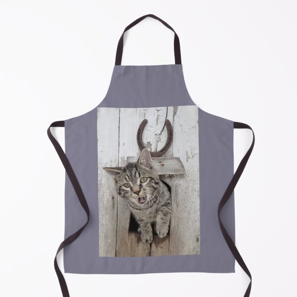 Item preview, surprised tabby kitty Onslow designed and sold by LadyKandis.