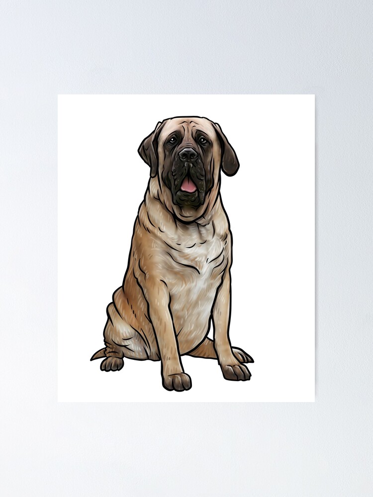 English cheap mastiff stuff