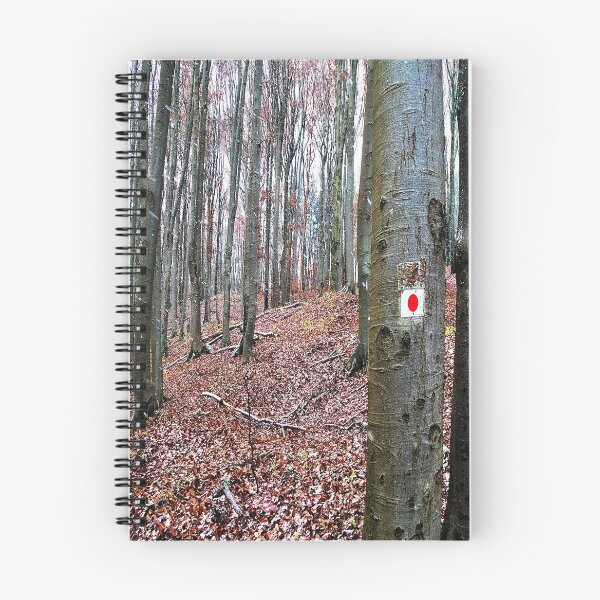Item preview, First snow in the beech forest designed and sold by frankuffmann.