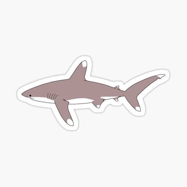Oceanic White Tip Shark Sticker