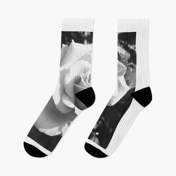 Item preview, Rose in black and white filter designed and sold by 360DESIGNING.
