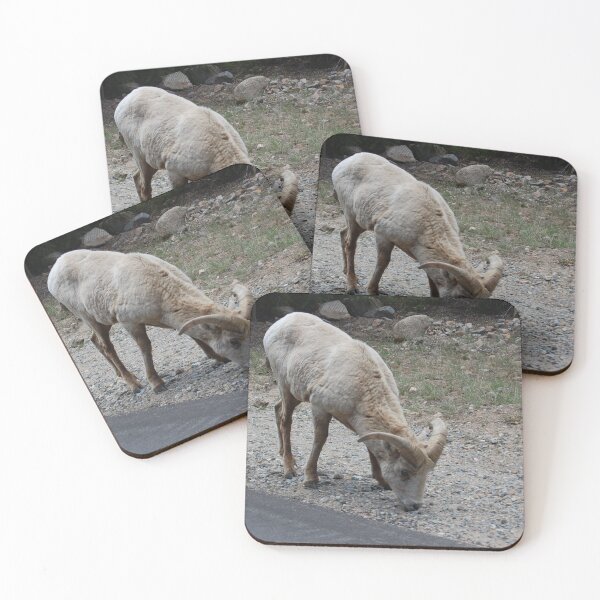 Item preview, Colorado wildlife designed and sold by Lee Dick.
