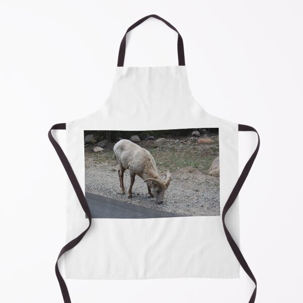 Item preview, Colorado wildlife designed and sold by Lee Dick.